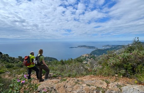 biodiversità alpi mediterraneo ph. alpmediterranee eu