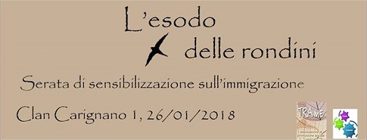 L'esodo delle rondini