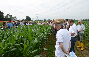 Agricoltura Sperimentale Campo Demo