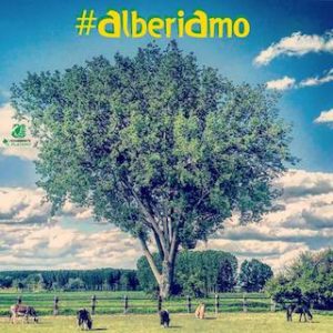 #Alberiamo concorso Legambiente Carmagnola