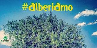 #Alberiamo concorso Legambiente Carmagnola