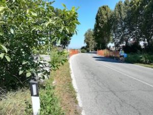 abbattimento alberi Racconigi variante ovest