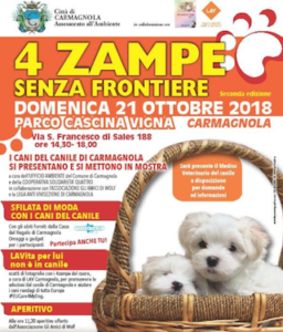 4 zampe senza frontiere cani canile