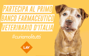 curiamoli tutti banco farmaceutico veterinario LAV