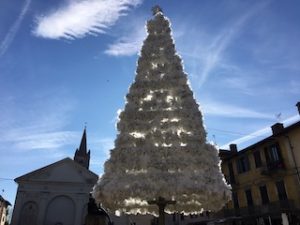 Albero di Natale Carmagnola 2018 ph Il Carmagnolese