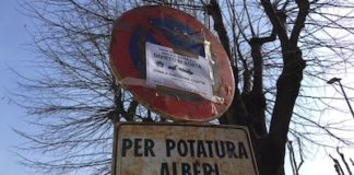 Potatura alberi Carmagnola