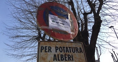 Potatura alberi Carmagnola