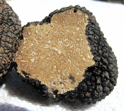 peccati di gola carmagnola tartufo