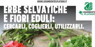 Erbe selvatiche Legambiente Carmagnola