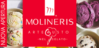 Molineris Artegusto gelato Carmagnola