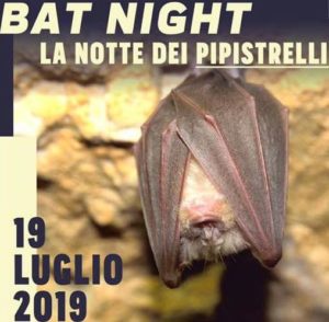 Bat Night 2019