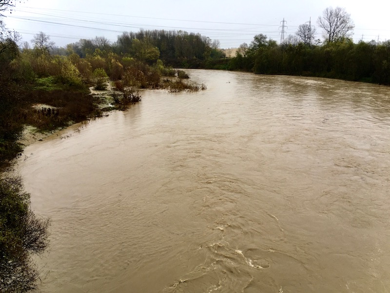 Po a Carmagnola allerta idrogeologica foto Il Carmagnolese