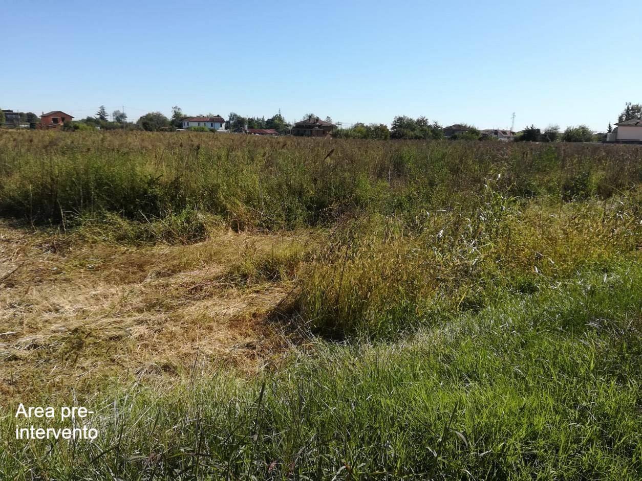 Bosco urbano di Carmagnola, al via la forestazione