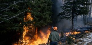 incendi boschivi allerta piemonte