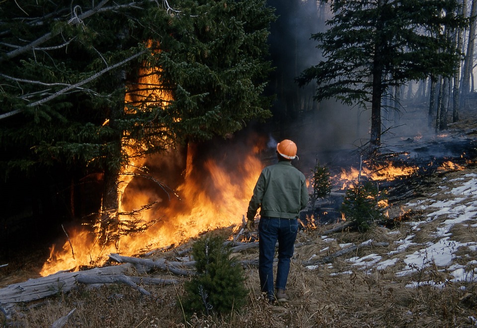 incendi boschivi allerta piemonte