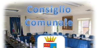 Consiglio Comunale online Santena