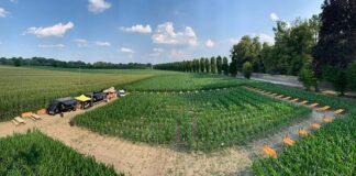 Panoramica Labirinto Racconigi dall'alto