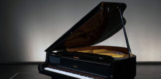 pianoforte soms Racconigi progetto cantoregi