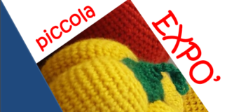 piccola expo donne in città carmagnola