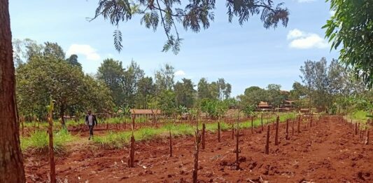 Crescere Insieme bambini del Kenya