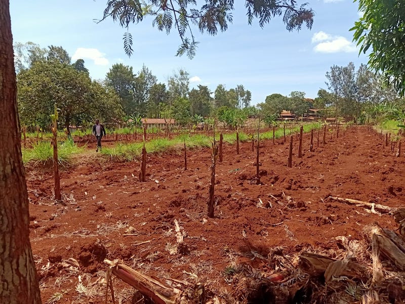 Crescere Insieme bambini del Kenya