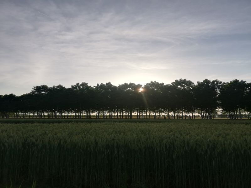 Piobesi affitto terreni agricoli