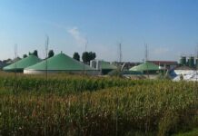 carmagnola biogas