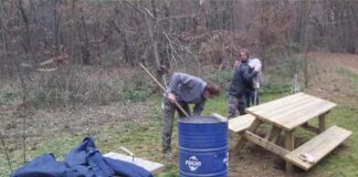 lavori al bosco del Merlino