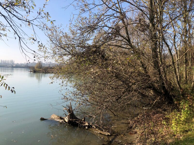 fiume po riqualificazione ambientale 