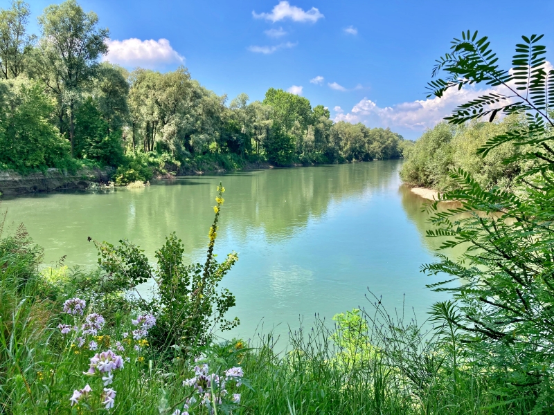 ente Parco del Po