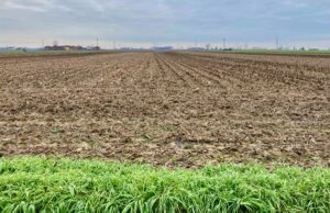 Deposito nucleare, Carmagnola canta vittoria: "no sui terreni agricoli"