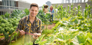 lavoro in agricoltura