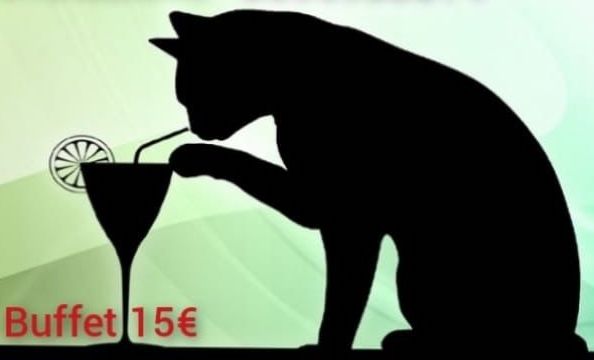 AperiMiao, un'apericena per aiutare le colonie feline di Carmagnola