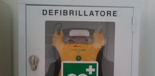 defibrillatore basket carmagnola