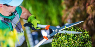 Lavoro nel verde Carmagnola