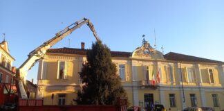 Pancalieri albero di Natala