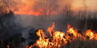 pericolo incendi boschivi piemonte