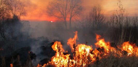 pericolo incendi boschivi piemonte