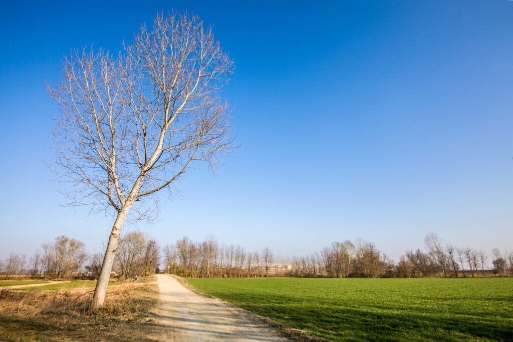 Cammino del Maira carmagnolese