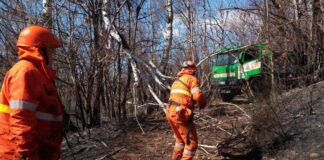 piemonte incendi revocato