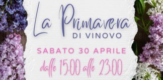 Vinovo primavera