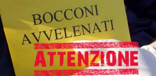 bocconi-avvelenati-la-loggia