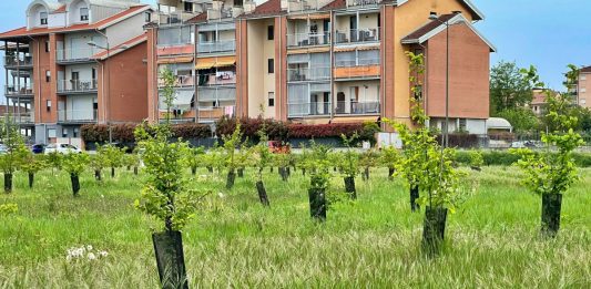 bosco urbano di Carmagnol