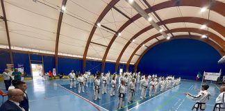 Vinovo stage taekwondo