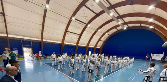 Vinovo stage taekwondo