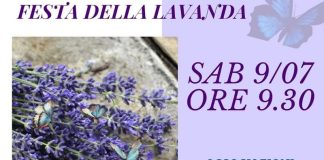 Sommariva lavanda Angeli Ninfa