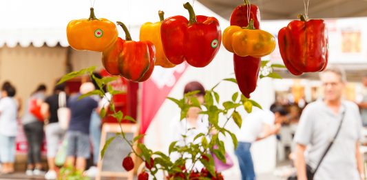 visitatori fiera del peperone carmagnola