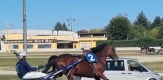 ippodromo Vinovo violenza