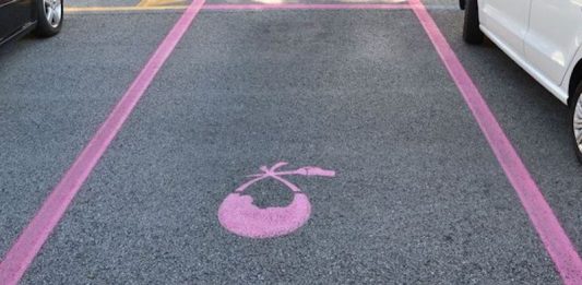 parcheggi rosa carmagnola