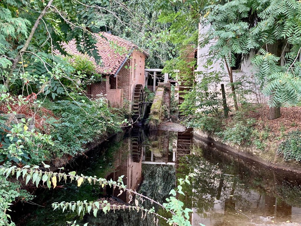 osasio bealera rio angiale borgonuovo mulino sicurezza idrogeologica